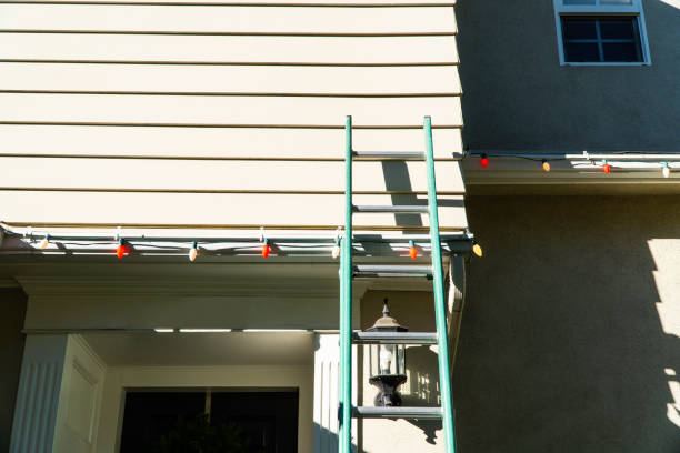 Affordable siding repair and maintenance services in Petaluma, CA