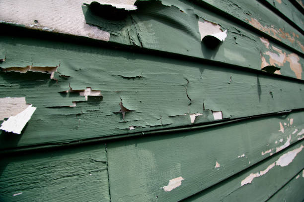 Best Fascia and Soffit Installation  in Petaluma, CA