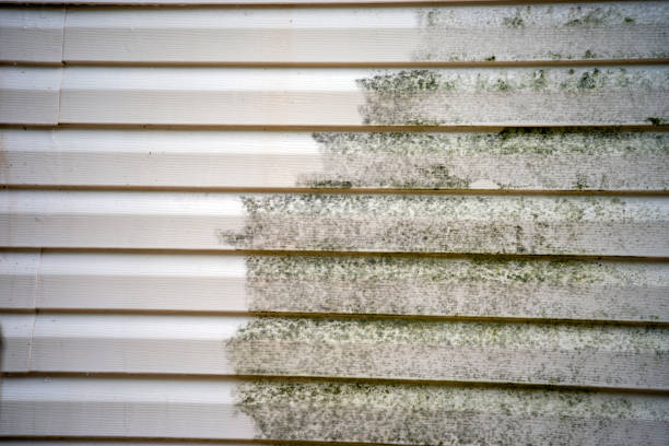 Best Siding for New Construction  in Petaluma, CA