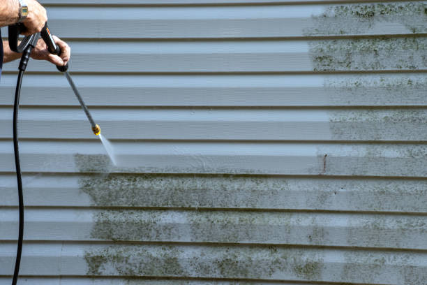 Best Brick Veneer Siding  in Petaluma, CA