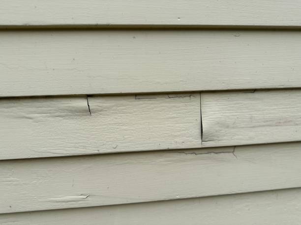 Best Steel Siding Installation  in Petaluma, CA